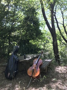 IMG_3603.JPEG