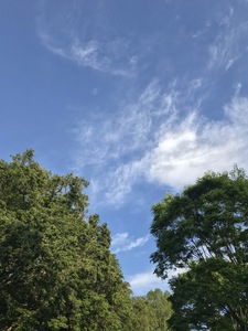 IMG_4503.jpeg