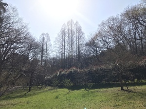 IMG_7416.jpeg