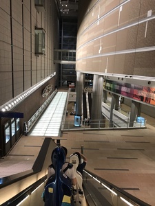IMG_9429.jpeg